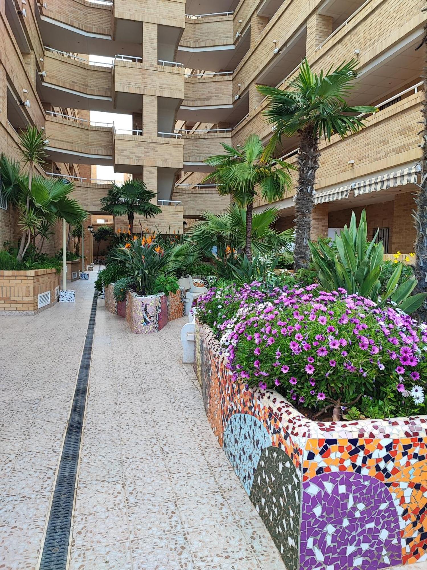 אורופסה דל מר Magic World Apartamento Lyz Y Mar מראה חיצוני תמונה